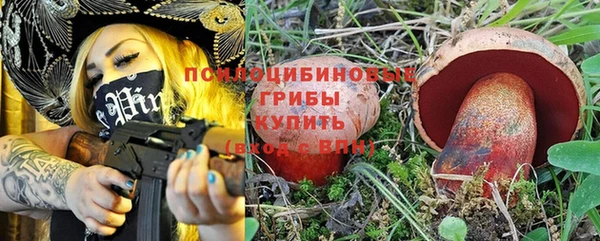 MDMA Новодвинск