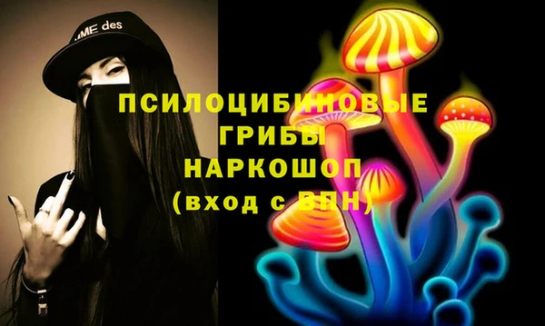 метадон Новозыбков