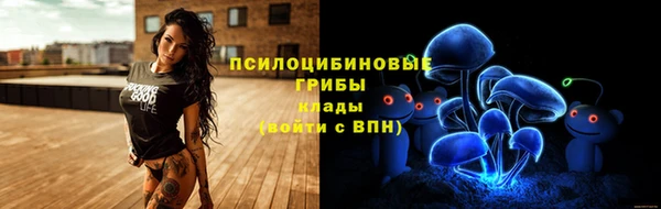 2c-b Новокубанск