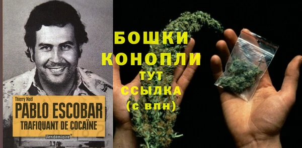 метадон Новозыбков